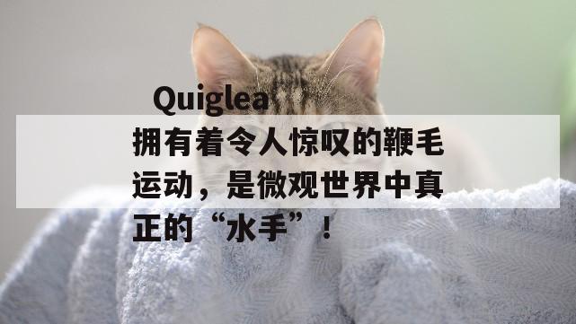   Quiglea 拥有着令人惊叹的鞭毛运动，是微观世界中真正的“水手”！