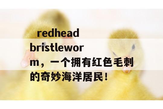   redhead bristleworm，一个拥有红色毛刺的奇妙海洋居民！